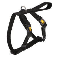 16765 SAFETY HARNESS  S