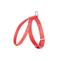 13121  "GLAMOUR" HARNESS NR1 A:25CMB:35CM RED