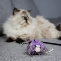 21158 MONSTERS - MIKE CAT TOY VIOLET