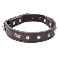 12050 LEATHER COLLAR DECORATED 1,0X27CM BLACK