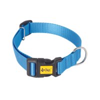 16113 NYLON COLLAR, PLASTIC BUCKLE 2,0X45CM  BLUE