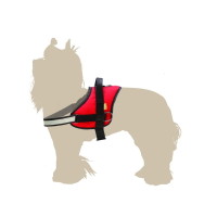 12947 STRONG HARNESS, SIZE 6 (84-102 cm) red